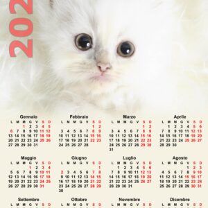 Calendario A3 Personalizzato (Editor)